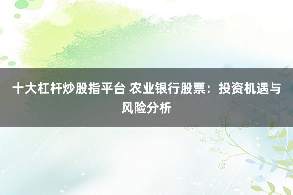 十大杠杆炒股指平台 农业银行股票：投资机遇与风险分析