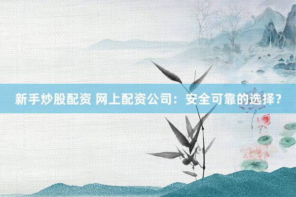新手炒股配资 网上配资公司：安全可靠的选择？