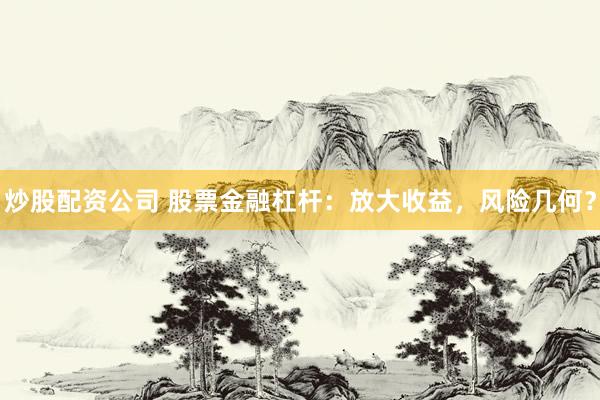 炒股配资公司 股票金融杠杆：放大收益，风险几何？