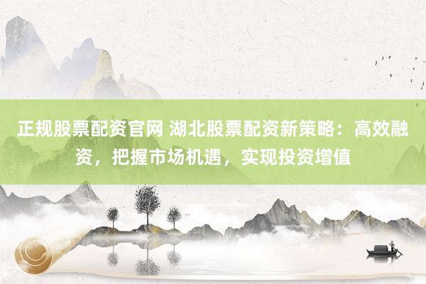 正规股票配资官网 湖北股票配资新策略：高效融资，把握市场机遇，实现投资增值