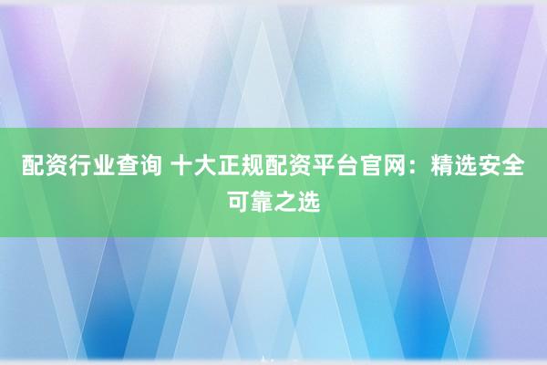 配资行业查询 十大正规配资平台官网：精选安全可靠之选