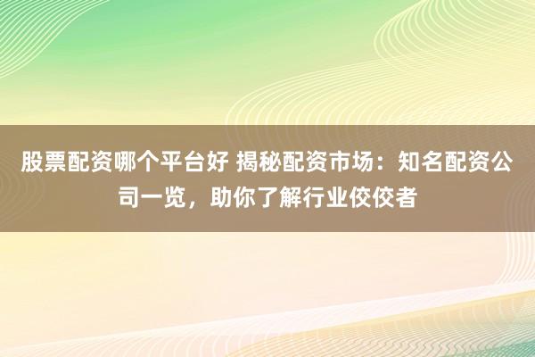 股票配资哪个平台好 揭秘配资市场：知名配资公司一览，助你了解行业佼佼者