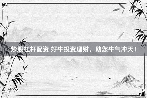 炒股杠杆配资 好牛投资理财，助您牛气冲天！