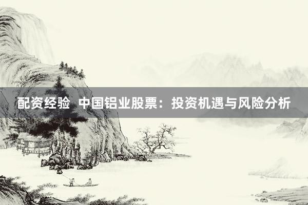 配资经验  中国铝业股票：投资机遇与风险分析