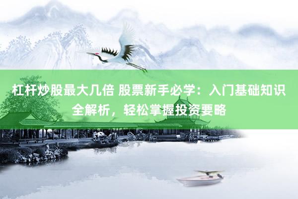 杠杆炒股最大几倍 股票新手必学：入门基础知识全解析，轻松掌握投资要略