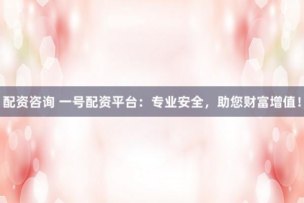 配资咨询 一号配资平台:专业安全,助您财富增值!