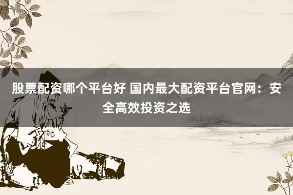 股票配资哪个平台好 国内最大配资平台官网：安全高效投资之选