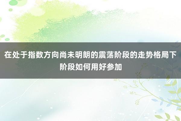 在处于指数方向尚未明朗的震荡阶段的走势格局下阶段如何用好参加