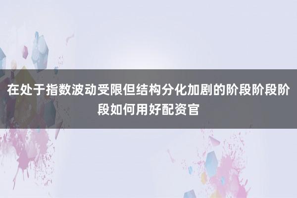 在处于指数波动受限但结构分化加剧的阶段阶段阶段如何用好配资官
