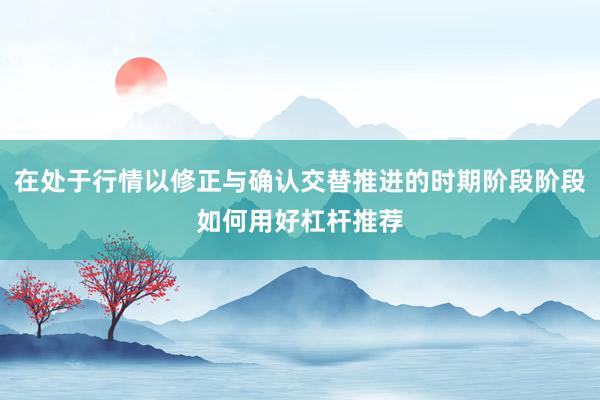 在处于行情以修正与确认交替推进的时期阶段阶段如何用好杠杆推荐