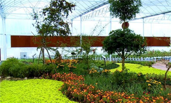 开州一大型中药材种植博览园已完工即将开园迎客
